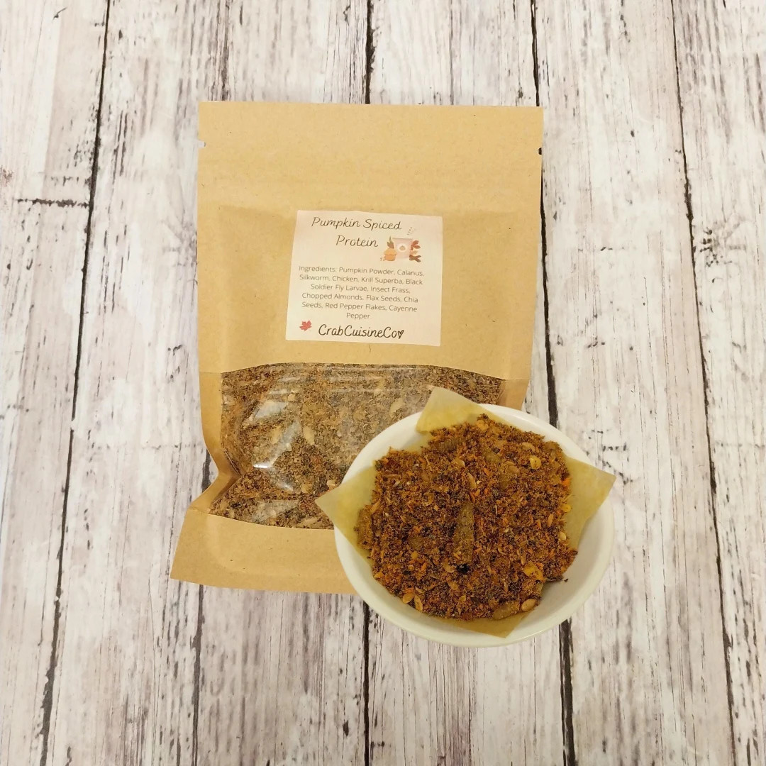 Pumpkin Spiced Protein - Homemade Hermit Crab Food - Protein Mix - Etsy | Etsy (US)