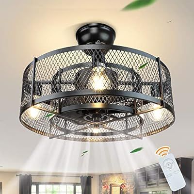 DLLT 20In Caged Ceiling Fan with Light, 3 Speeds Adjustable, Ceiling Fan Lights with Remote, Indu... | Amazon (US)
