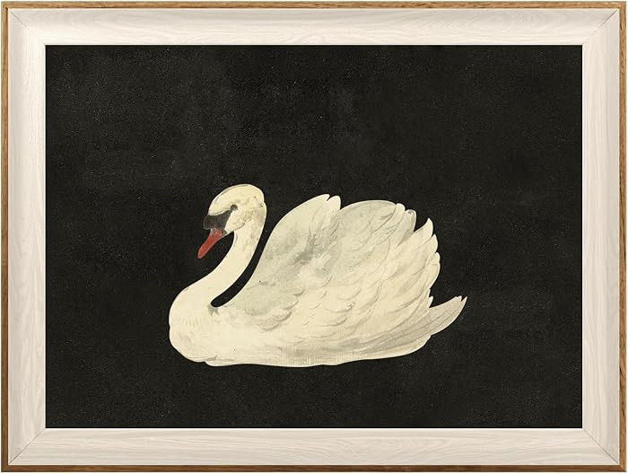 ASTRDECOR Vintage Framed Wall Art for Living Room, Vintage Swan Canvas Oil Painting for Bathroom ... | Amazon (US)
