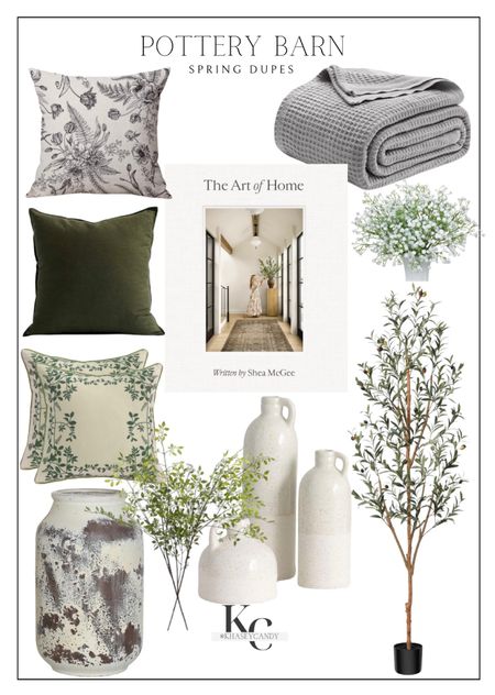 Spring Pottery Barn dupes.




Throw pillows, throw blanket, faux olive tree, neutral coffee table book, neutral vases, greenery stems, neutral home decor, modern neutral home decorr

#LTKhome #LTKfindsunder100