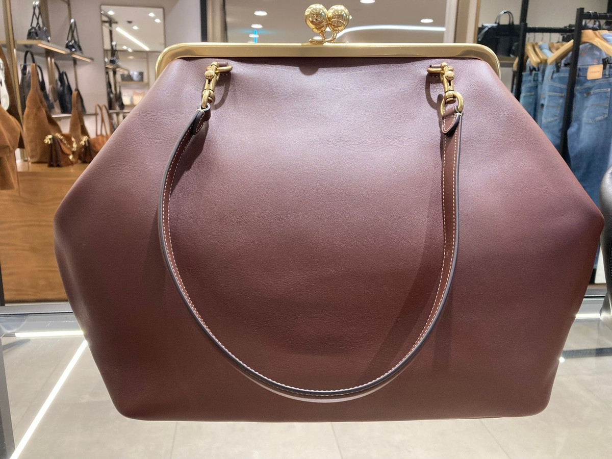 Coach Large Kisslock Frame Bag CBR51 B4/DB Dark Brown Glovetanned Leather | eBay US