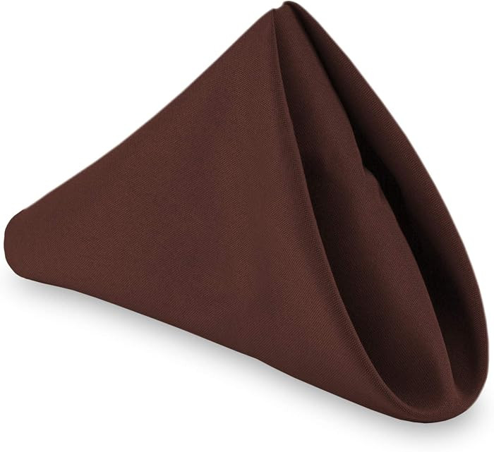 Lann's Linens - 1 Dozen 20" Oversized Cloth Dinner Table Napkins - Machine Washable Restaurant/We... | Amazon (US)