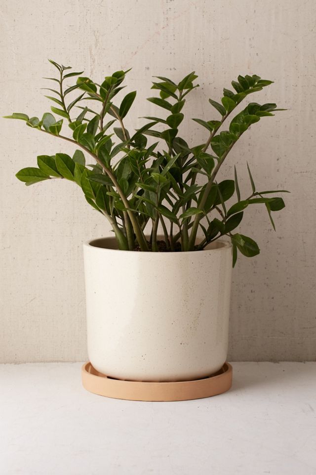 Parker 10" Planter + Drainage Tray Set | Urban Outfitters (US and RoW)