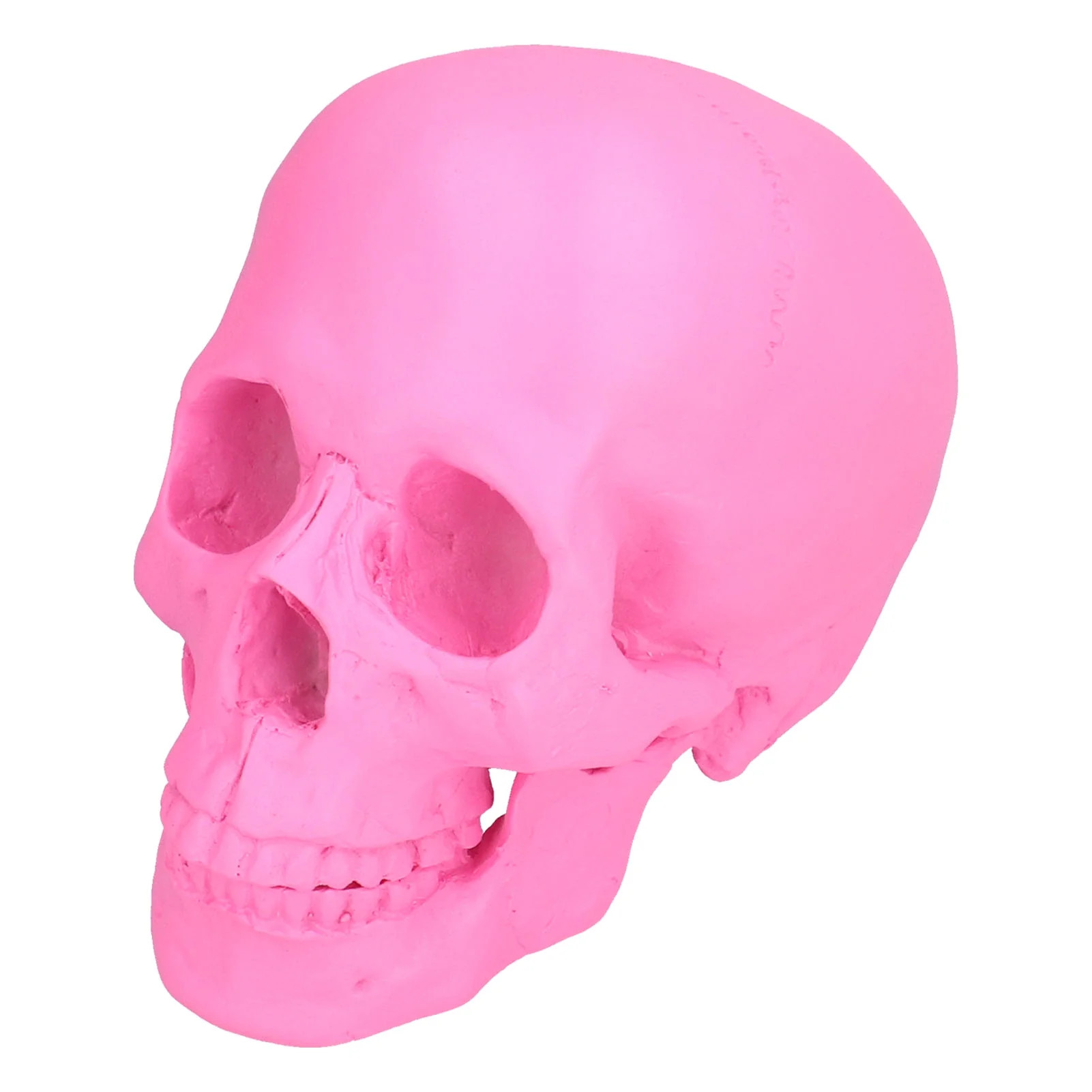 Resin Halloween Skull Decor Festival Home Props Fake Whole Person Skull Ornaments Pink - Walmart.... | Walmart (US)