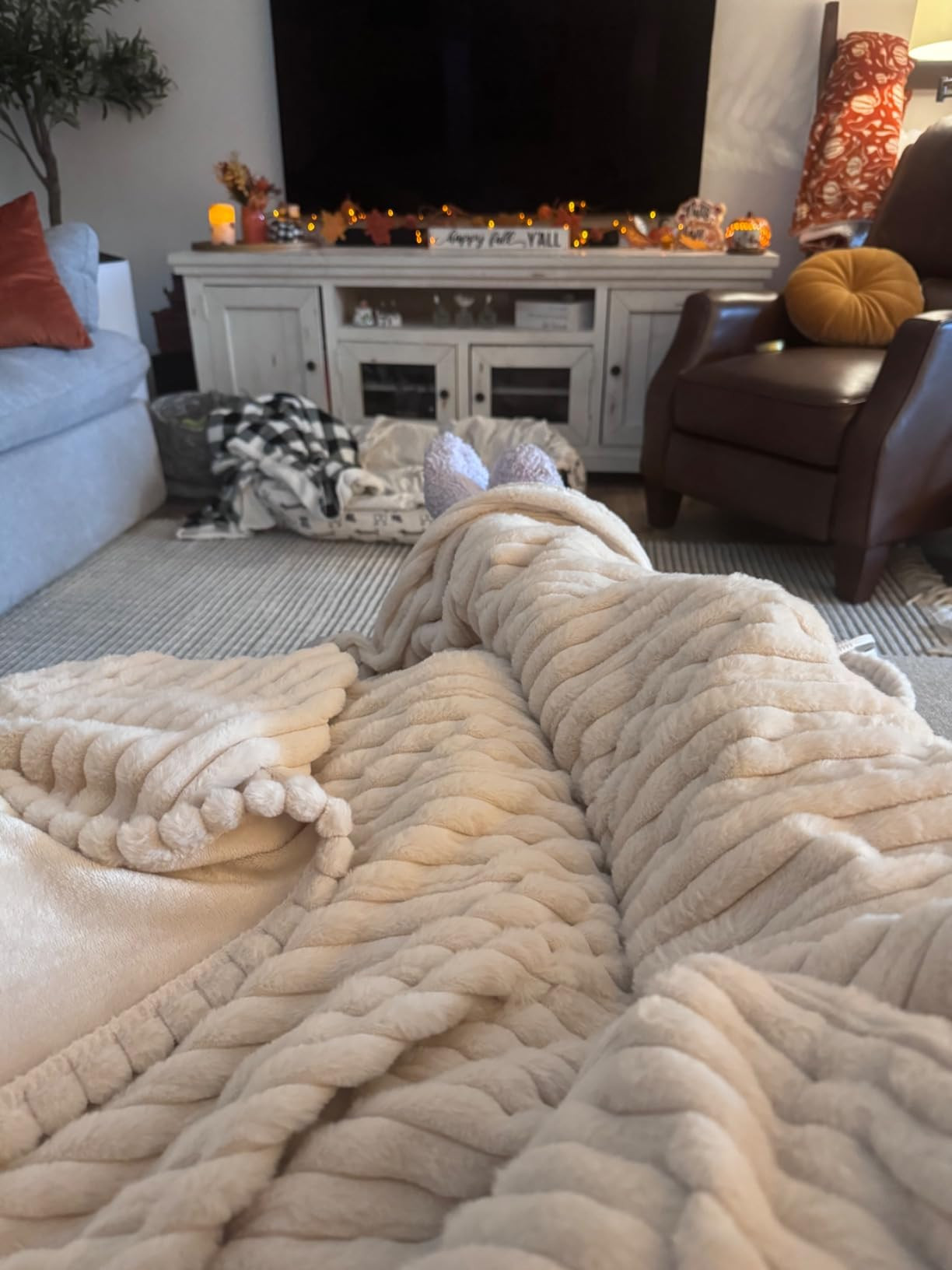 GOTCOZY Heated Blanket Electric Throw 50''X60''- Soft Silky Plush Electric Blanket with 4 Heating... | Amazon (US)