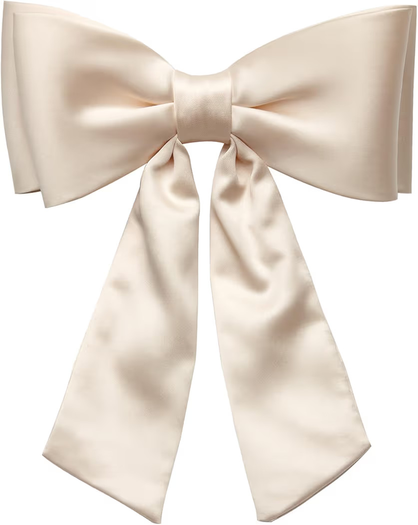 Satin Bow Hair Accessory Velvet Large Hair Bow Long Tail A Luxurious Touch of Timeless Elegance a... | Amazon (US)