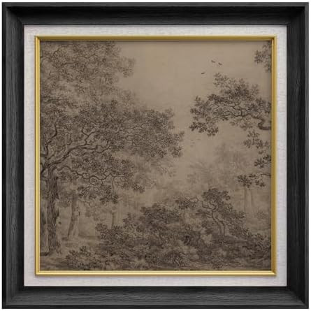 MUDECOR Premium Framed Wall Art Vintage Forest Sketch Classic Illustrations Fine Art Decorative R... | Amazon (US)