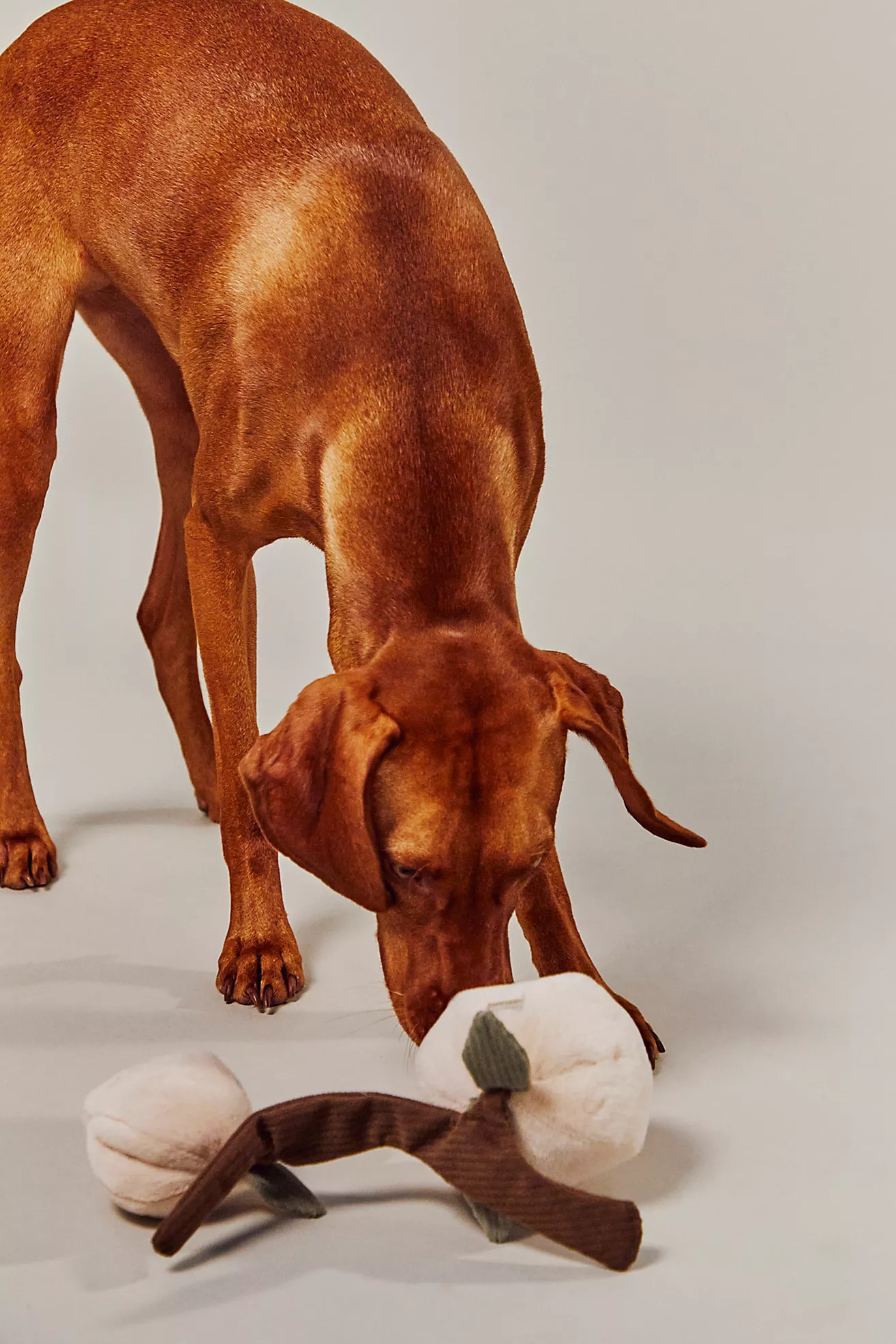 Lambwolf Momo Peach Dog Toy | Free People (Global - UK&FR Excluded)