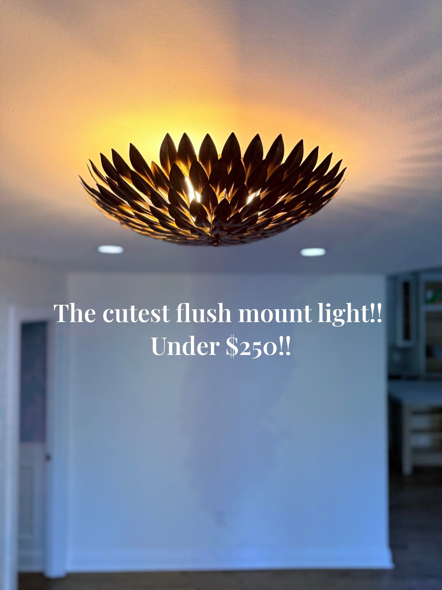 Obsessed with this gold leaf flush mount light for less than $250 

#LTKCyberWeek #LTKHome #LTKSaleAlert