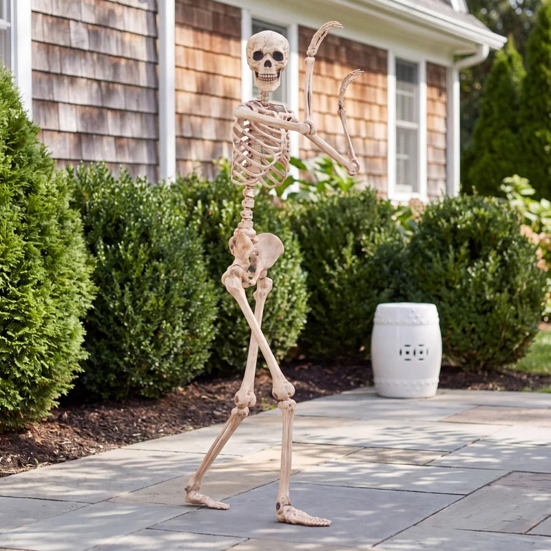 This is your sign to upgrade your halloween decor 🖤👻 Birchlane edit is too good 🎃 pumpkin accents, skeleton decor, wreaths, doormats 🍂 cozy living room vibes 🕯️ outdoor glow ✨ dining table perfection 🎃 everything is aesthetic 🍷

#UpgradeHome #BirchlaneHalloween #LTKHome #SpookySeason #PumpkinDecor #SkeletonDecor #WreathStyle #DoormatDecor #OutdoorSpooky #LivingRoomDecor #DiningTable #FallDecor #LTKFinds #AutumnVibes #PorchDecor #EntrywayInspo #SpookyAesthetic #LTKStyle #HomeInspo #SeasonalDecor 

 #LTKSeasonal #LTKHome #LTKSaleAlert
