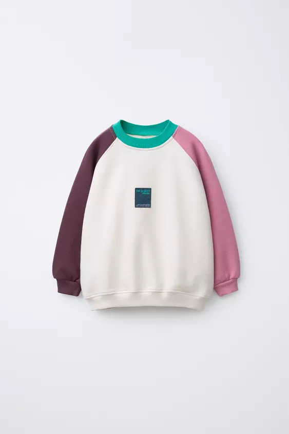 SWEAT COLOR BLOCK ÉTIQUETTE | Zara US