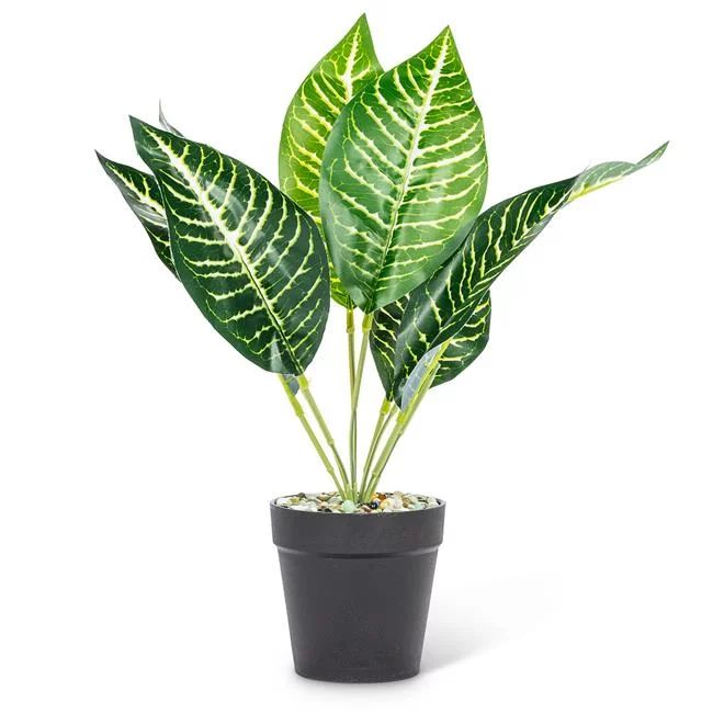 Abbott Collection AB-27-BOTANY-018-01 14 in. Polyester & Plastic Leaf Plant&#44; Green & White - ... | Walmart (US)