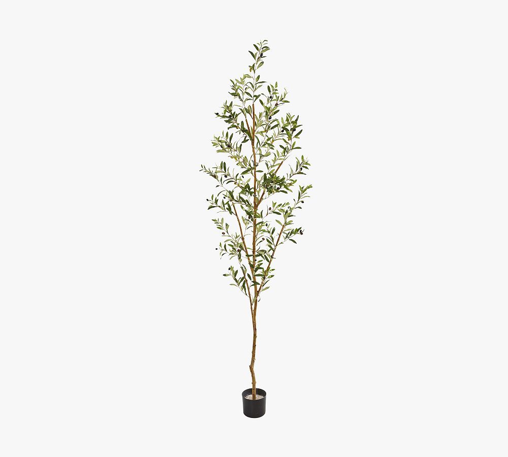 Faux Olive Trees | Pottery Barn (US)