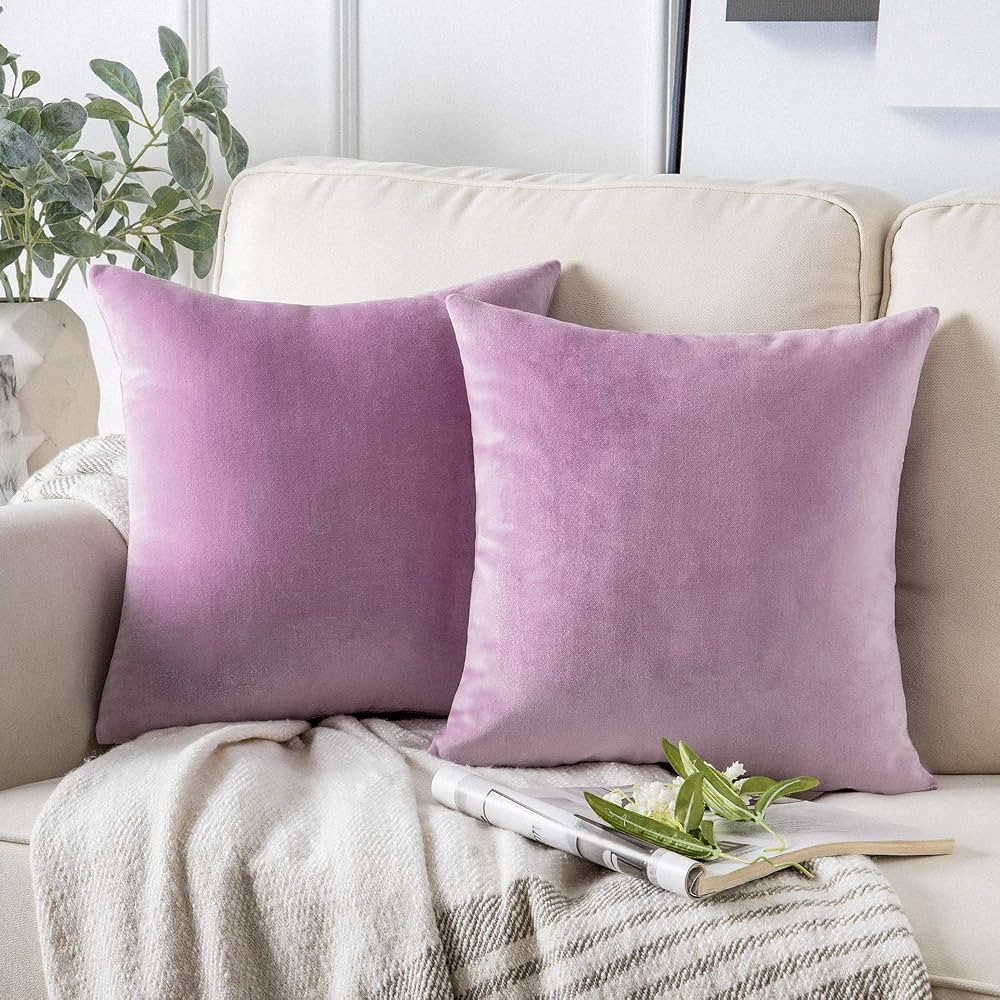 Phantoscope Pack of 2 Velvet Decorative Throw Pillow Covers Soft Solid Square Cushion Case for Co... | Amazon (CA)
