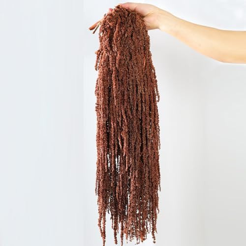 5Pcs Dried Amaranthus Hanging Flowers, 23" Brown Preserved Natural Wisteria for Wedding Arch, Fal... | Amazon (US)