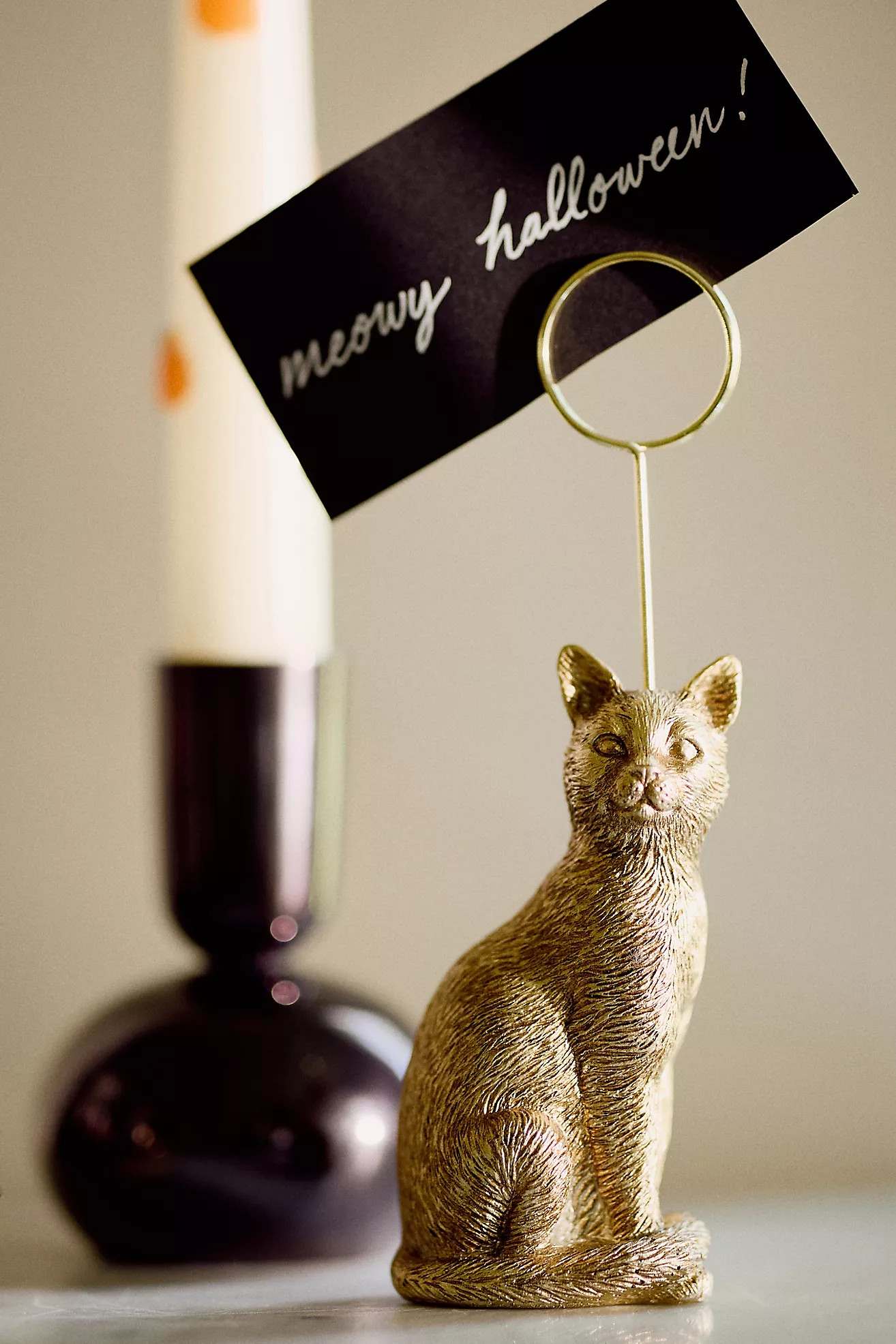 The Animal Icon Photo Holder: Cat Edition | Anthropologie (US)