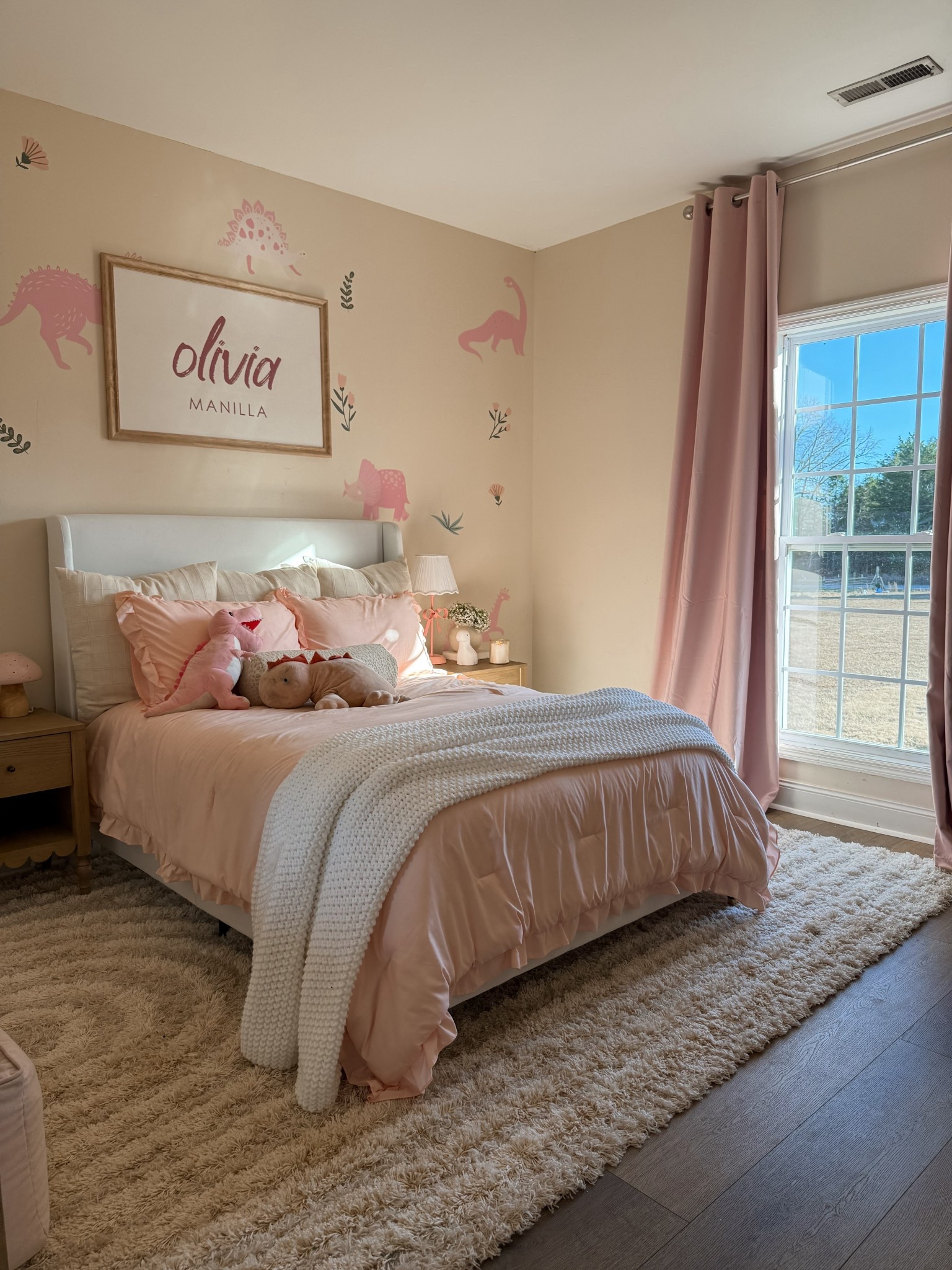 My daughter requested a Dino themed room.❤️❤️