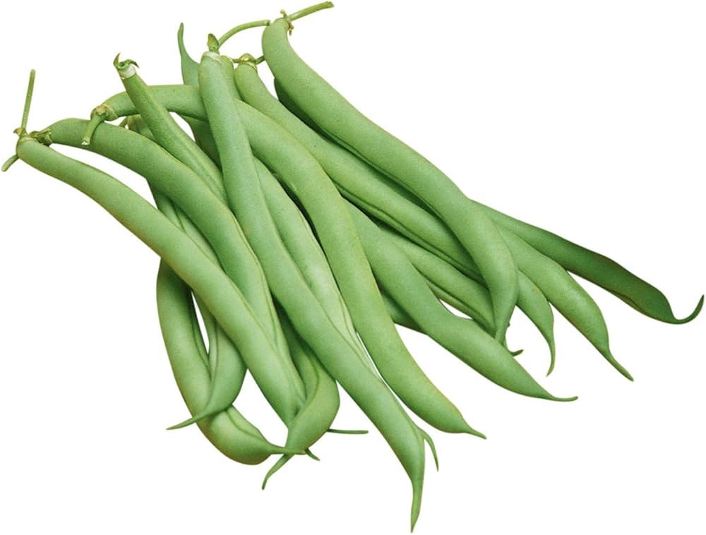 Burpee White Half Runner Pole Bean Seeds 2 ounces of seed | Amazon (US)