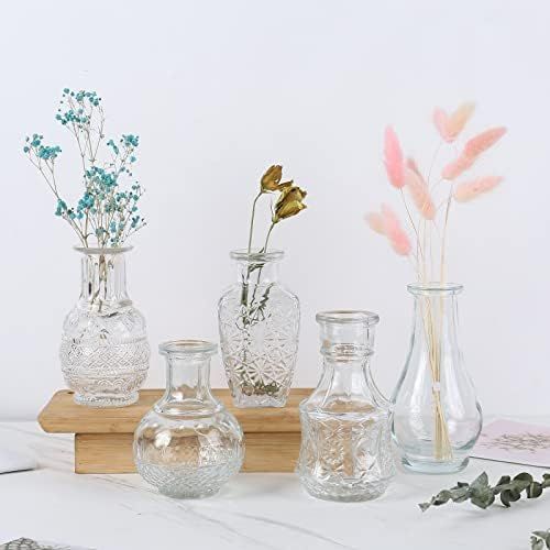 AFAMBEZ Small Clear Glass Bud Vase Set of 5 - Small Vases for Flowers Clear Bud Vases in Bulk Cute G | Amazon (CA)