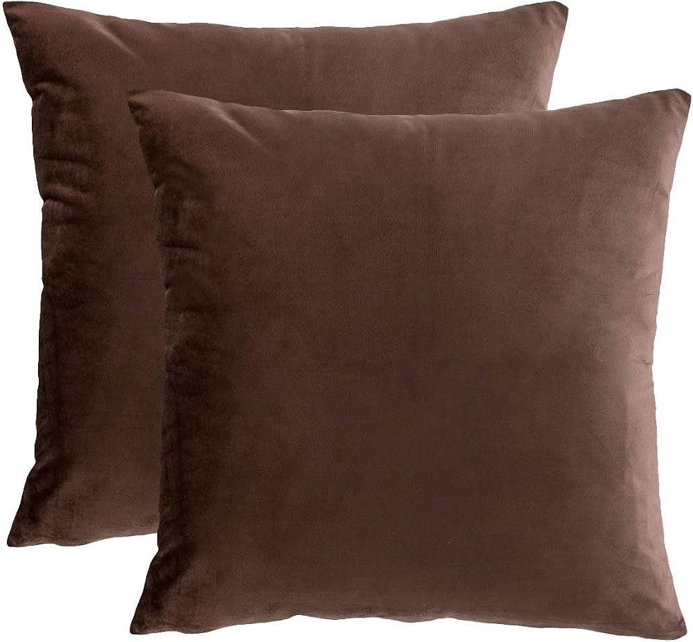 RainRoad Velvet Decorative Throw Pillow Covers Cushion Cover Pillow Case for Sofa Couch Bed Chair... | Amazon (US)