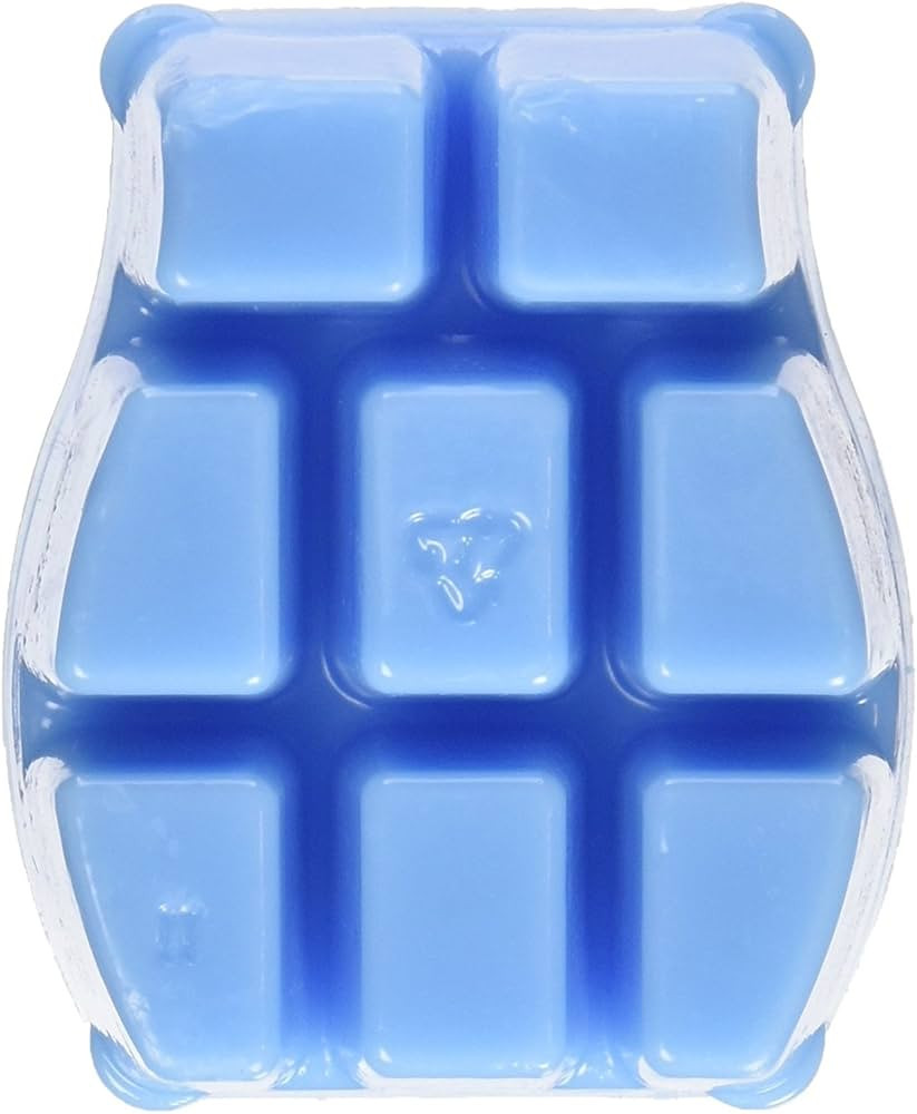 Scentsy, Clean Breeze, Wickless Candle Tart Warmer Wax 3.2 Fl Oz, 8 Squares | Amazon (US)