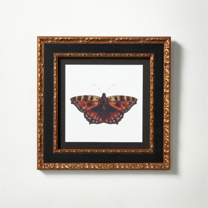 Metamorphosis III Framed Modern Butterfly Print 13"x13" | CB2 | CB2