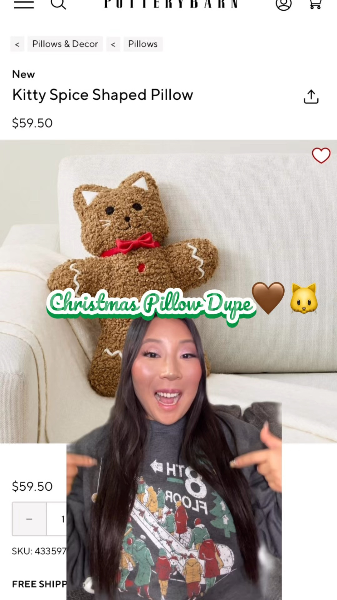 Christmas pillow dupe!!🎄🐱

#LTKSeasonal #LTKHome