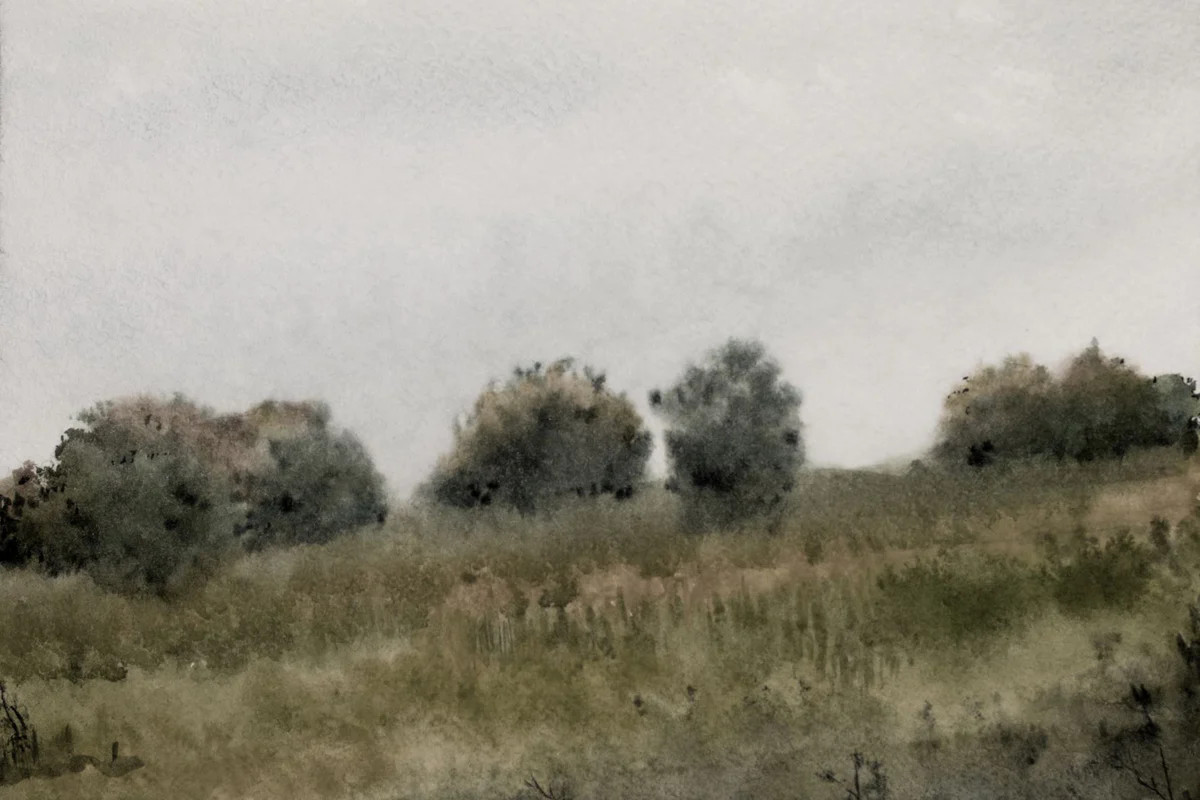 Flourishing Field V | Collection Prints