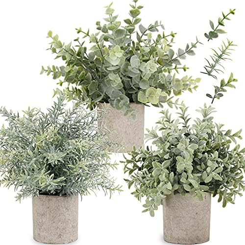 C APPOK Artificial Potted Plants Fake Eucalyptus Plant, Mini Plastic Green Grass with Pot, Faux Rose | Amazon (US)
