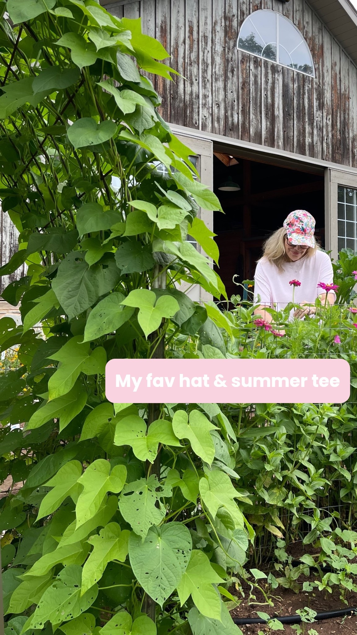 I love this baseball cap by Rifle covered in flowers!!! And I’ve ordered 4 of these summer tees! So many great color options.

#LTKSeasonal #LTKActive #LTKOver40