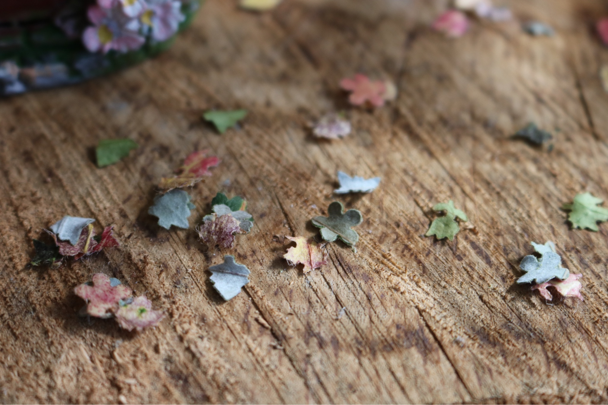 DIY Natural Leaf Confetti using craft home punchers. It’s lots of fun for kids to help out!

#LTKKids #LTKHome #LTKParties