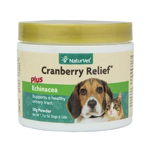 NATURVET Cranberry Relief Plus Echinacea Powder Urinary Supplement for Cats & Dogs, 90 count - Ch... | Chewy.com