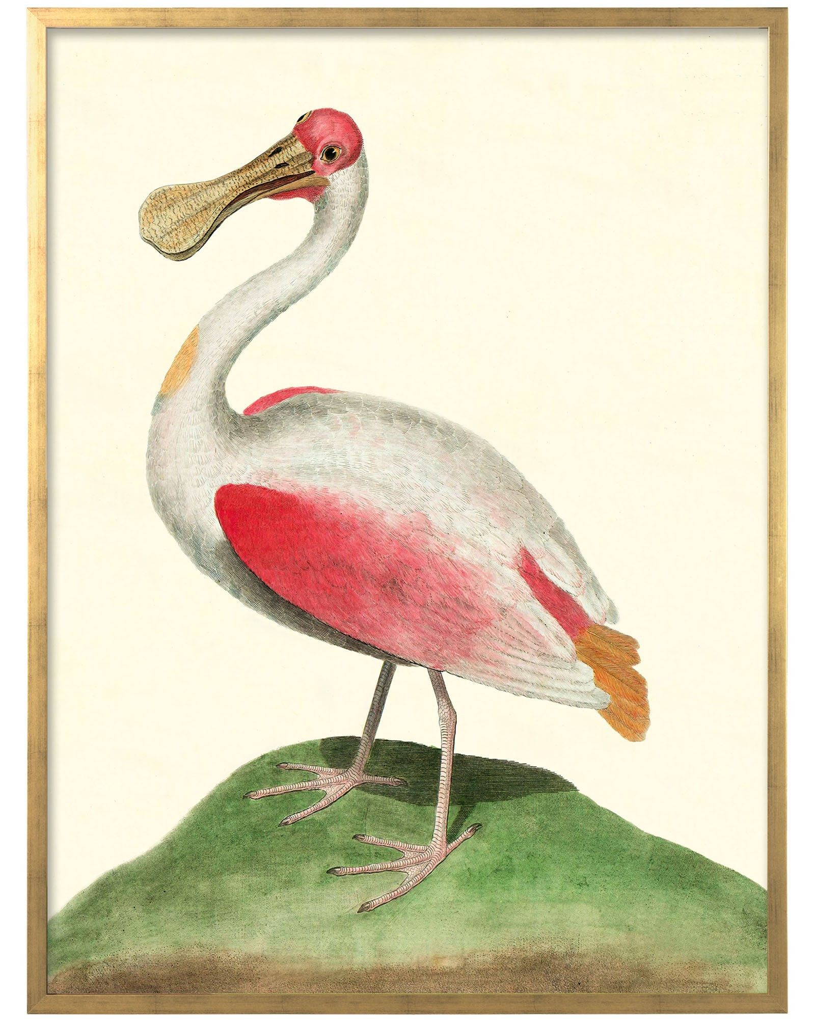 "Large Vintage Birds" in Gold Frame by Whalebone Creek | Serena and Lily