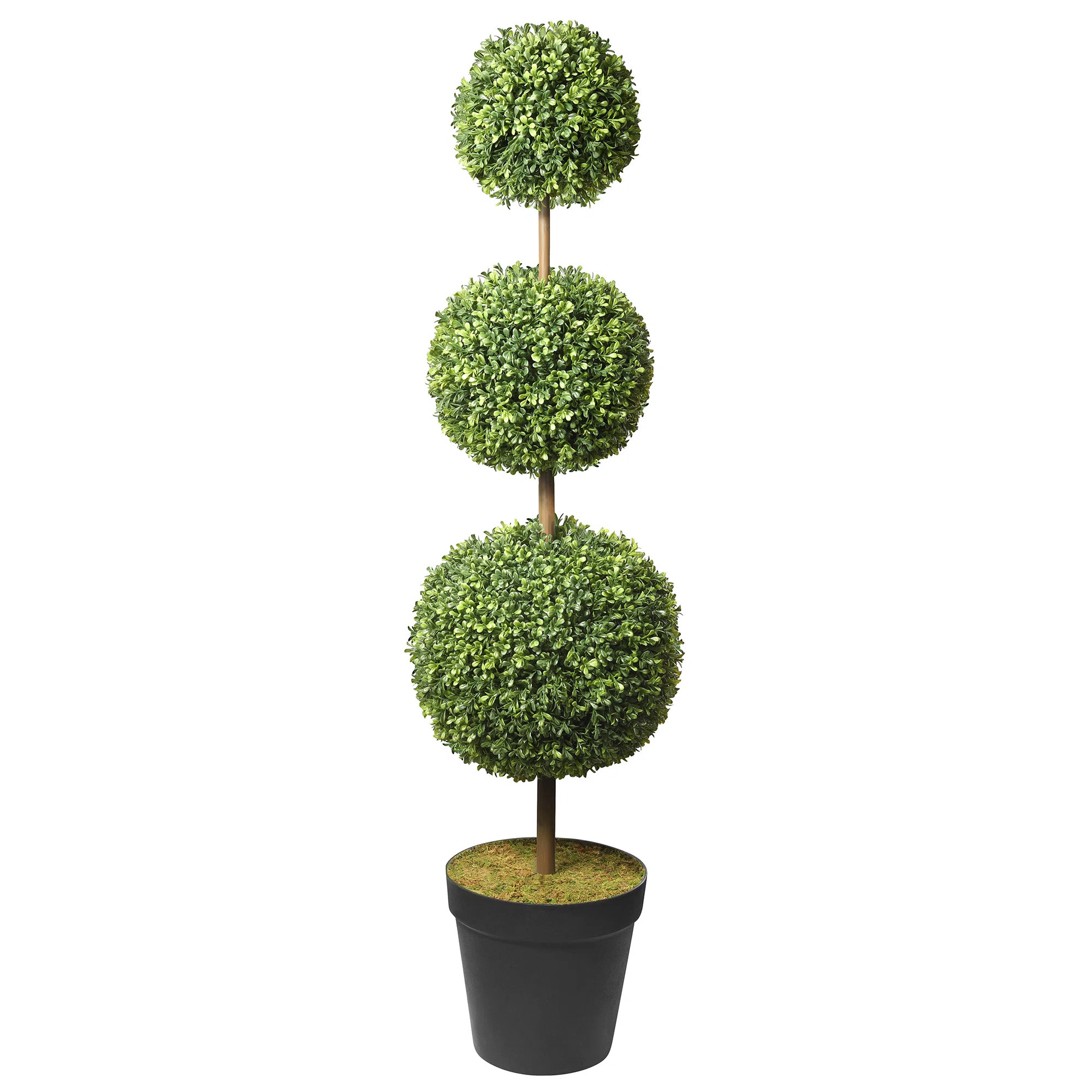 Haute Decor ADJUSTABLE Faux Boxwood Topiary in Pot & Reviews | Wayfair | Wayfair North America