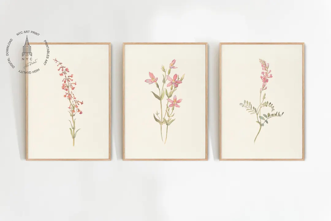 Set of 3 Vintage Botanical Prints, Pink Floral Poster, Botanical Wall Art, Watercolor Botanical P... | Etsy (US)