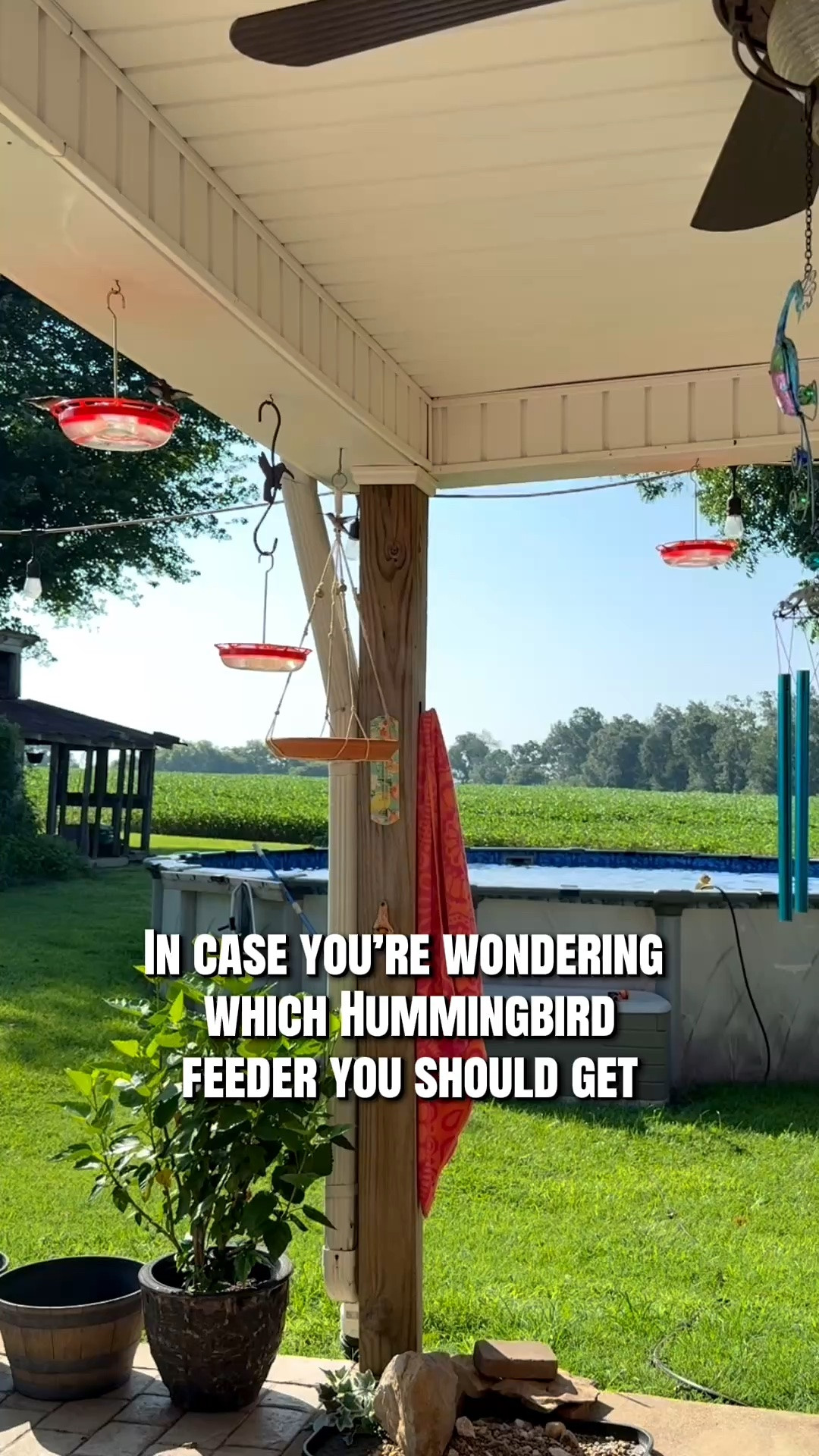 Every year, 1 add another set!

These feeders have proven to be the best ones, for the birds, and for me to clean and refill.

So simple

The feeders do have a built in ant/bug trap that will prevent them from getting to the water, but I did end up buying some nectar guard tips, to prevent/flies from entering the feeder.
So far they are working very well, and l only have to replace the water when it gets low, not contaminated.

#womenover40 #hummingbirds #hummingbirdfeeder #birdwatching

#LTKOver40 #LTKdayinmylife #LTKmomlife
