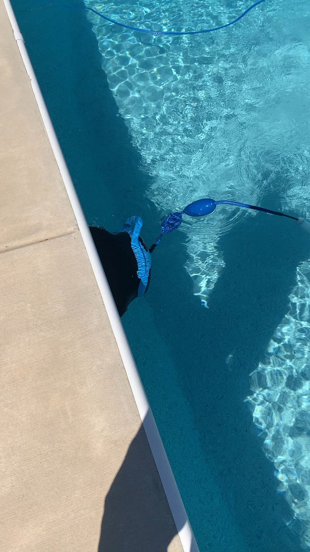 The robotic pool cleaners work so much better than the manual pool vacuum we were using.  Dolphin brand for the WIN! 

#LTKhome #LTKfamily #LTKswim