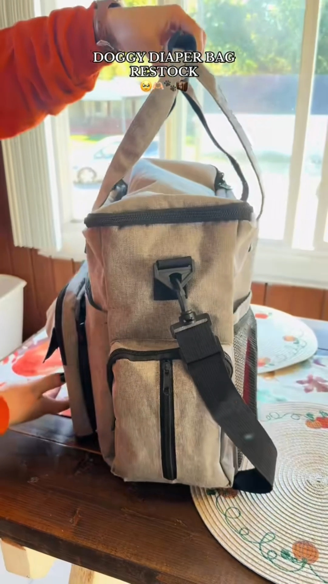 We travel with our dogs so much, and these are my must haves! 

#LTKPets #LTKTravel #LTKItBag