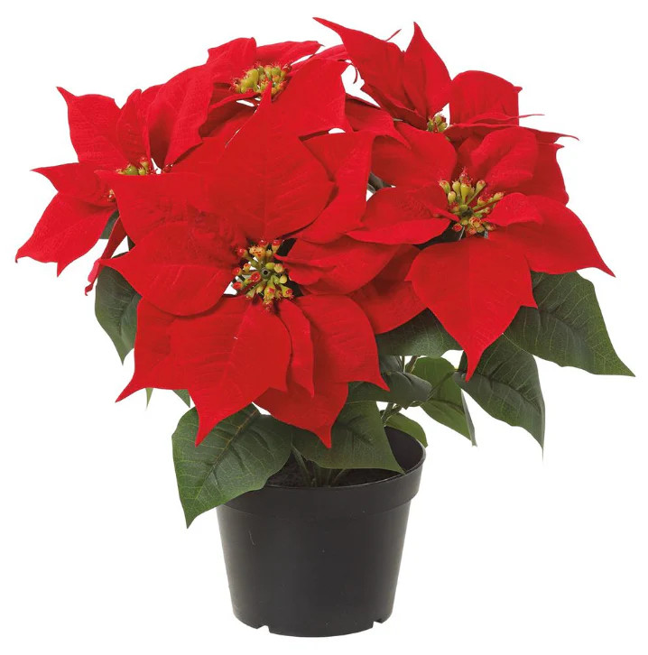 FAUX REALISTIC POINSETTIA PLANT | The Crowded Table Co. 