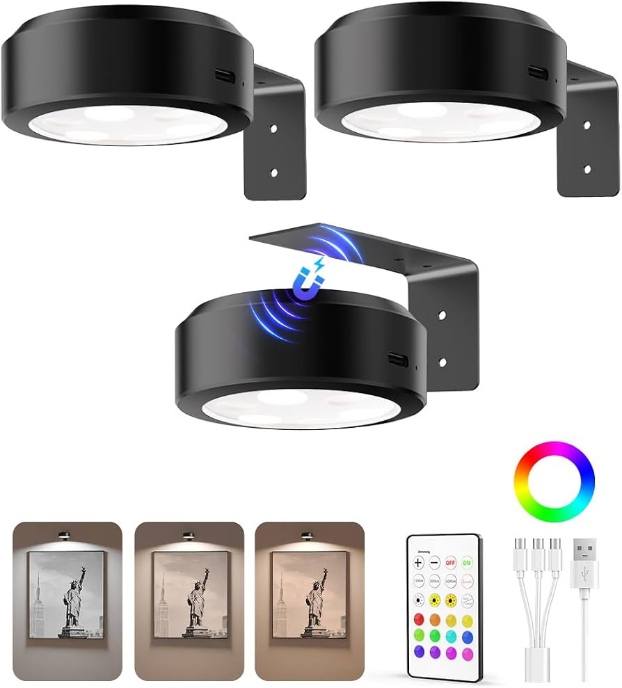 EZVALO Picture Lights for Wall, 2000mAh Rechargeable Battery Magnetic Poster Lights with 3 Color ... | Amazon (US)