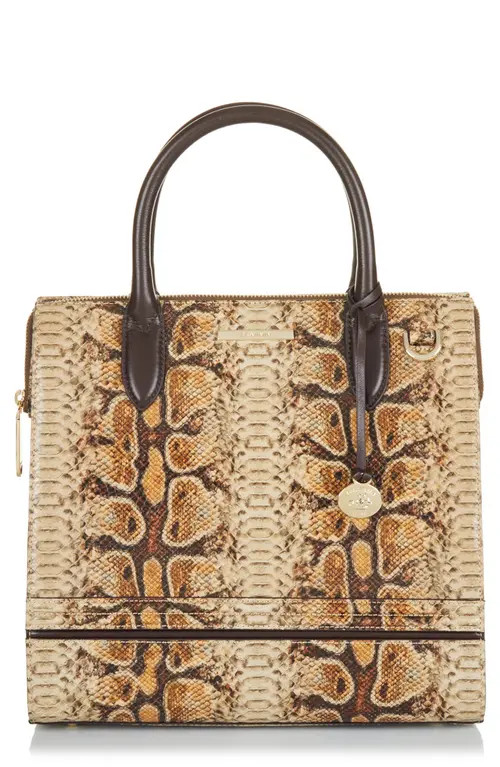 Brahmin Caroline Snake Embossed Leather Satchel in Hazelnut Shenandoa at Nordstrom | Nordstrom
