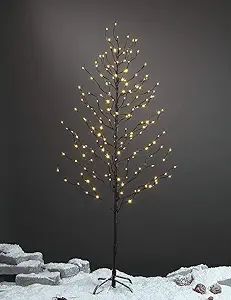 LIGHTSHARE 5Ft 200L Lighted Star Light,Warm White, Brown Branch | Amazon (US)