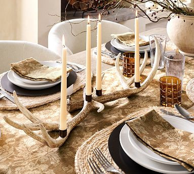 Antler Taper Centerpiece | Pottery Barn (US)