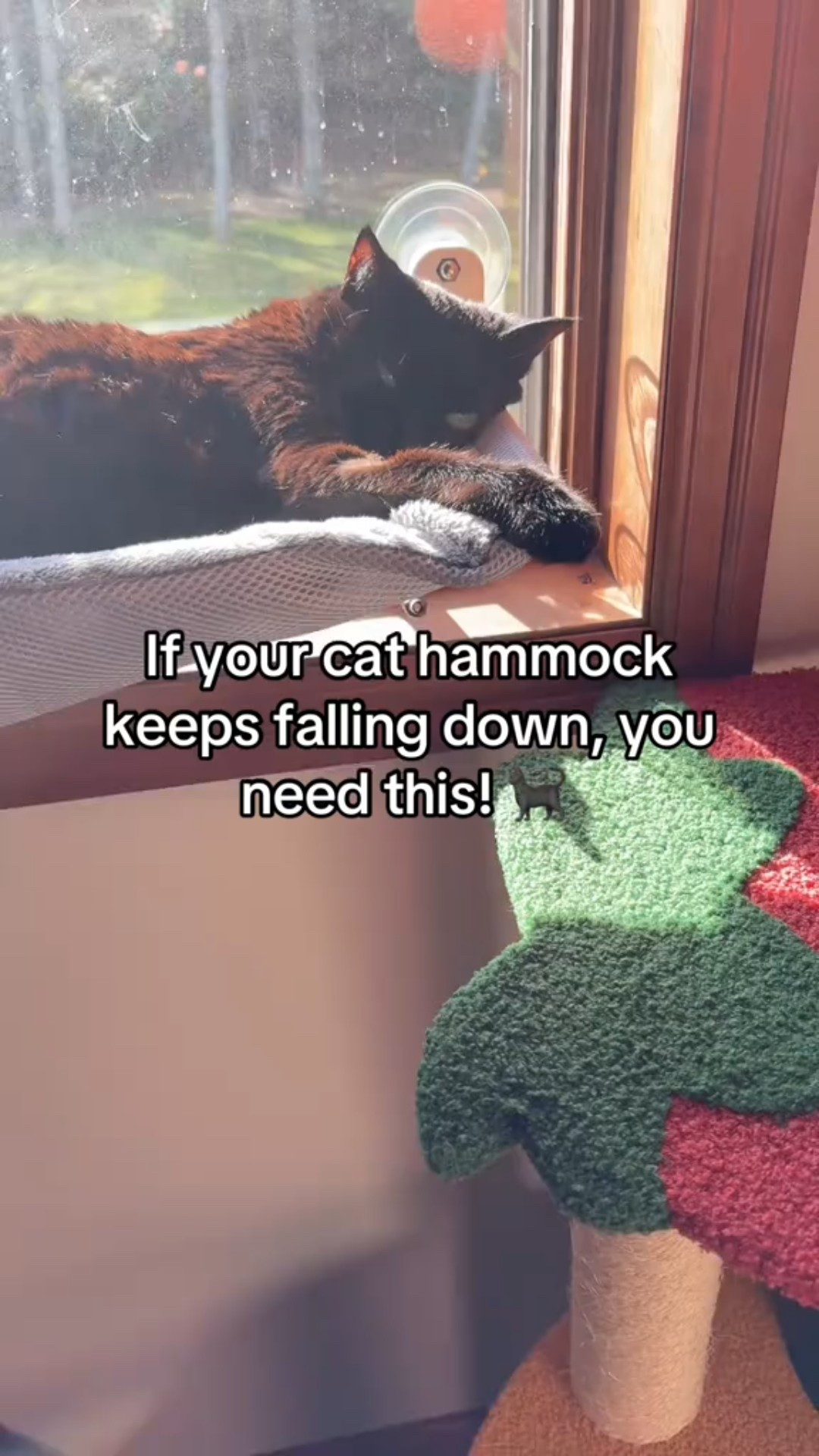 KitKat loves sunbathing in her cat hammock. 

#LTKmomlife #LTKFindsUnder50 #LTKCyberWeek