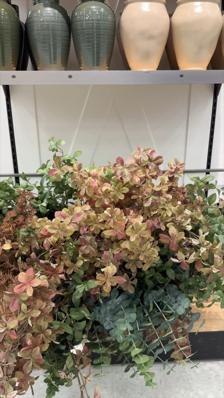 Faux fall stems on a budget 🍂

#LTKHome #LTKVideo #LTKSeasonal