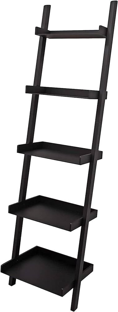 Kiera Grace Providence Hadfield 5 Tier Ladder Shelf Modern Leaning Bookshelf Storage Rack for Hom... | Amazon (US)