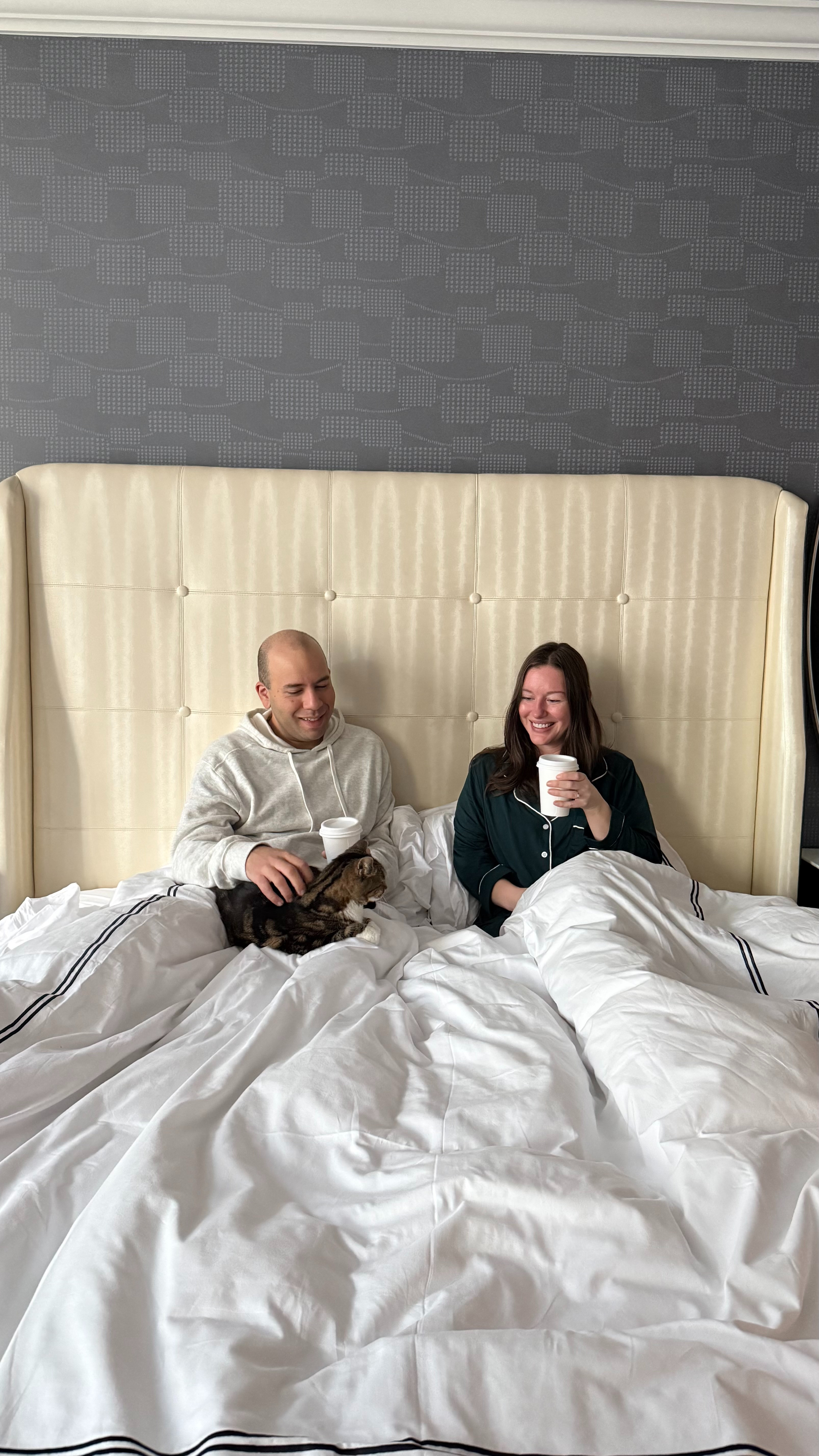 Cozy mornings with Meow ❤️ 

 #LTKdayinmylife #LTKSeasonal #LTKTravel