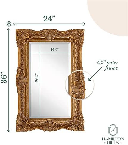 Hamilton Hills 24" x 36" Baroque Gold Framed Glass Rectangular Mirror| Large Ornate Baroque Frame... | Amazon (US)
