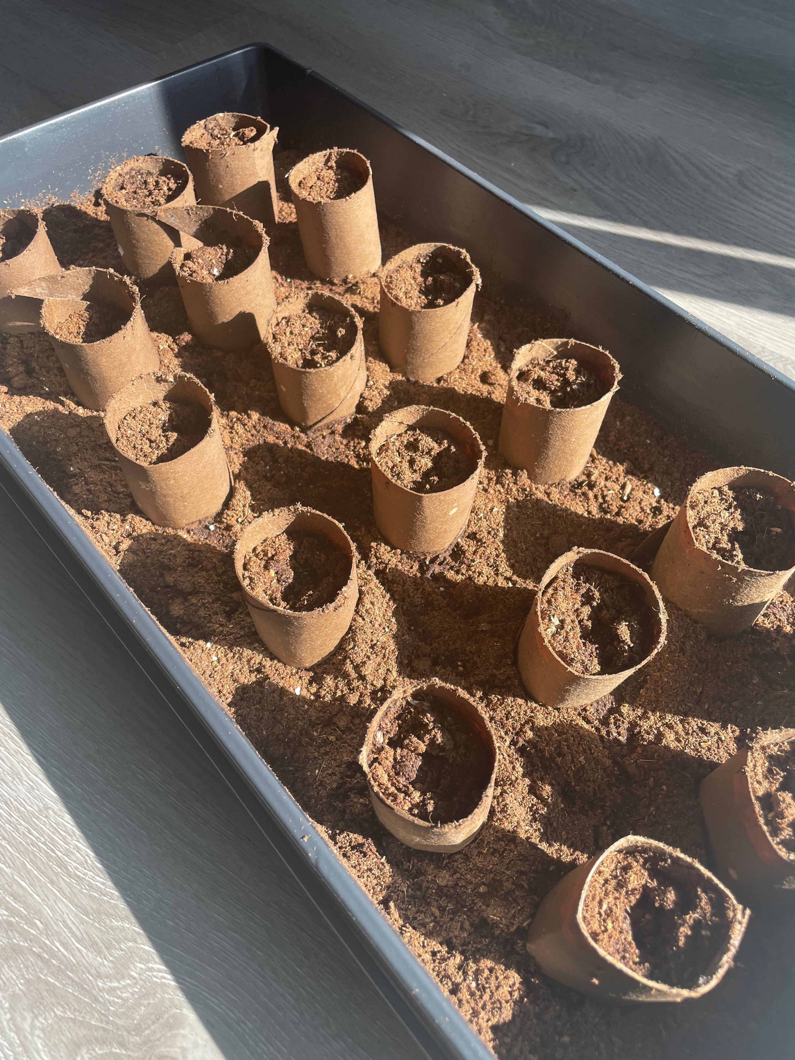 Spring gardening is getting started! 

 #LTKSpringSale