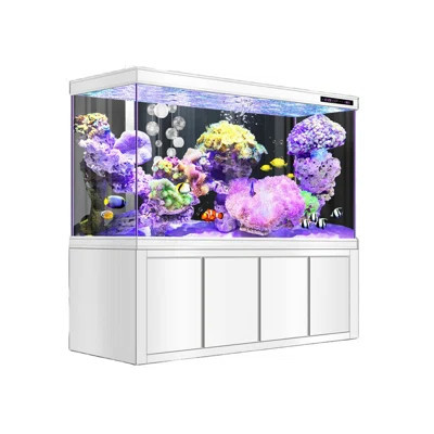 Modern Minimalist Rectangular Eco Aquarium Tank | Wayfair North America